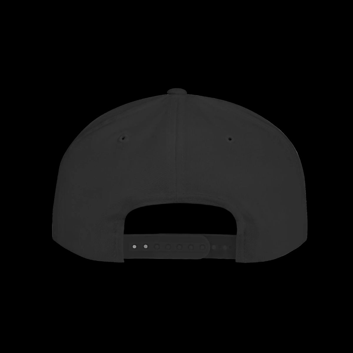 Skinny Joeys x Eagles 2026 flat bill snapback in black, back, Philadelphia