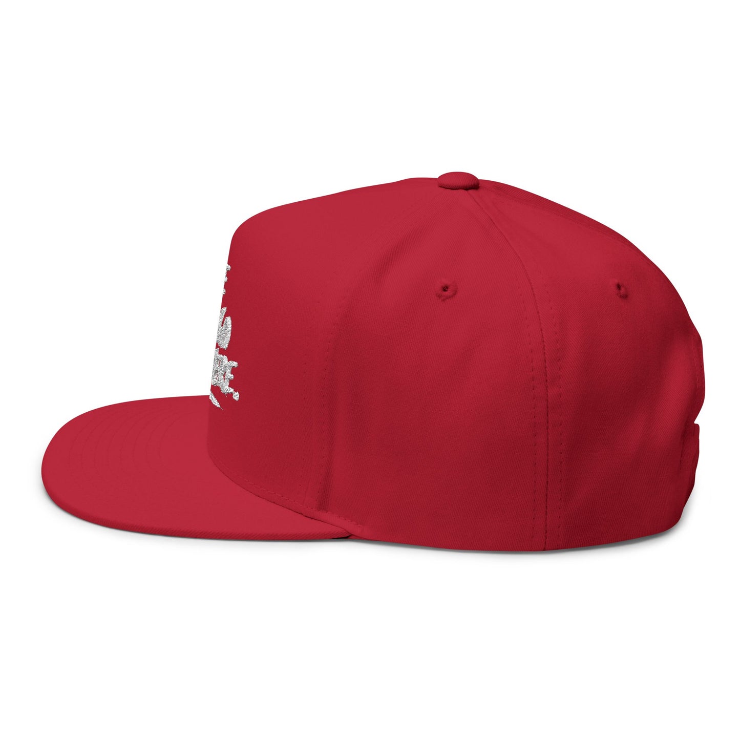 We Can Go Anywhere Embroidered Snapback