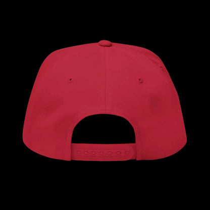 We Can Go Anywhere Embroidered Snapback