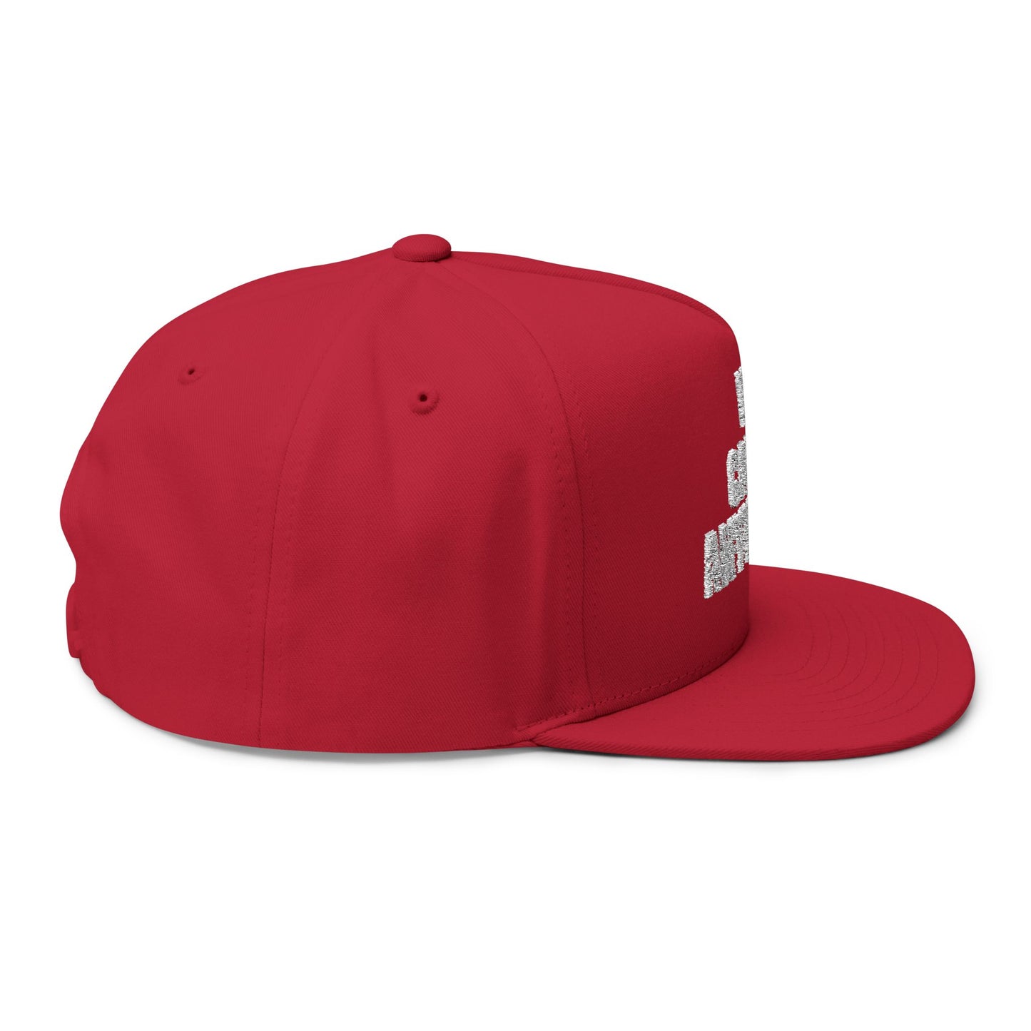 Statement Snapback Hat