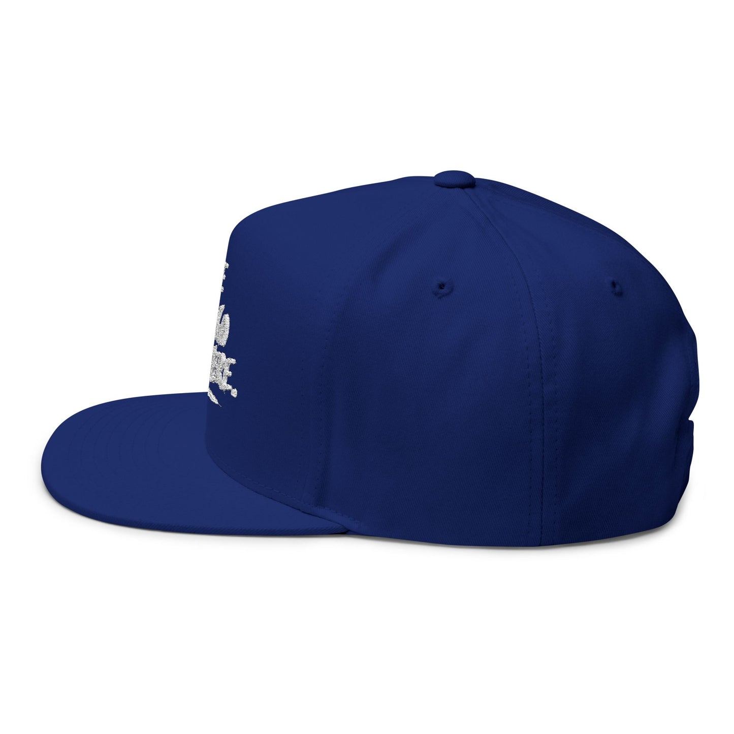 We Can Go Anywhere Embroidered Snapback