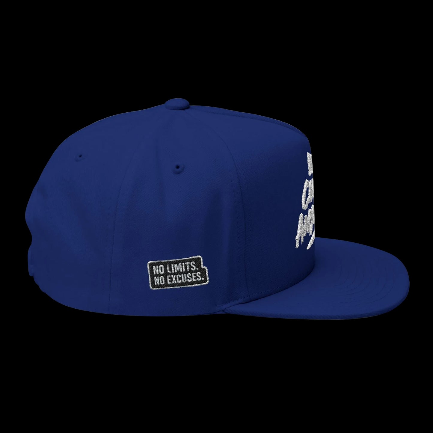 We Can Go Anywhere Embroidered Snapback