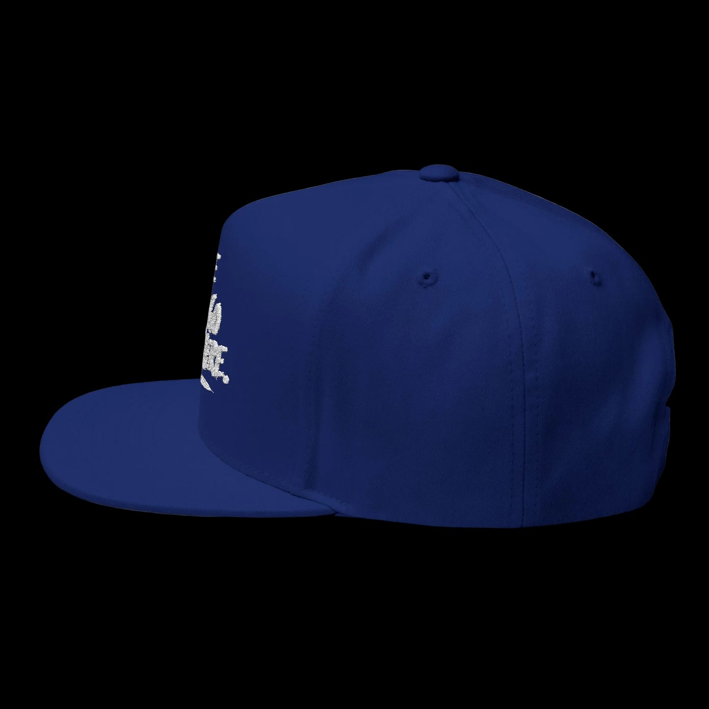 We Can Go Anywhere Embroidered Snapback