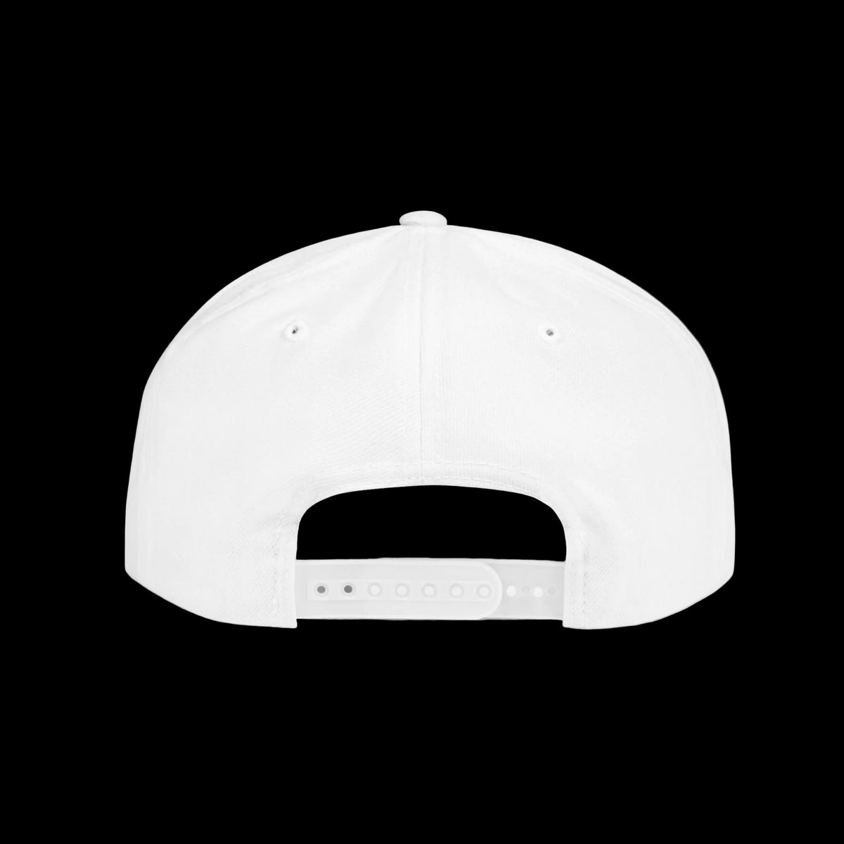 Skinny Joeys x Eagles 2026 flat bill snapback in white, back, South Philly