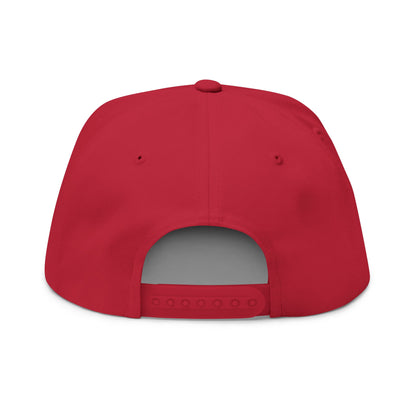 We Can Go Anywhere Embroidered Snapback